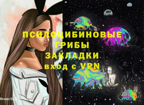 a pvp Алзамай