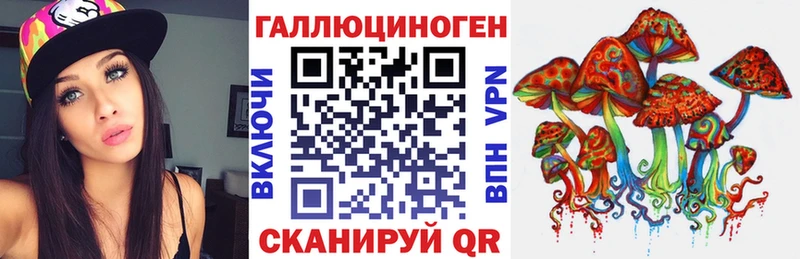 как найти закладки Пущино Псилоцибиновые грибы MAGIC MUSHROOMS